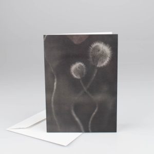 A poppy bud, kort med kuvert