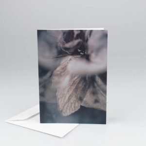 Blossom, kort med kuvert