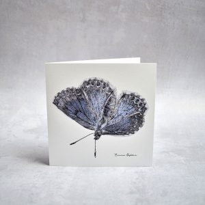 Konstkort – blåvinge, 15×15