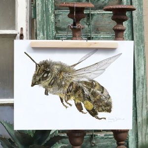 Art Print Honungsbi – 30×40